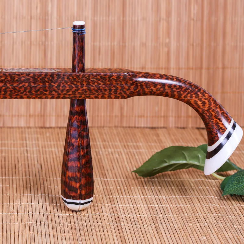 중국어 두 현 바이올린 전문 Erhu, Snakewoo - Erhu Violin Chinese 리뷰 및 가격